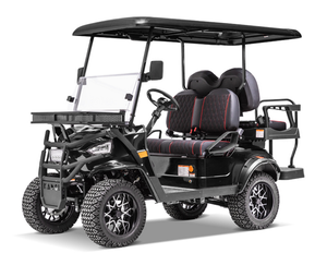 Factory Produce 2021 Carrito de golf 30 km/h Tanon 2 Seat Golf Cart Car Buggy para la venta - Product Image 1