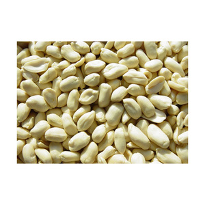 Arachides blanchies de qualité supérieure disponibles en grande quantité à un prix compétitif - Product Image 3