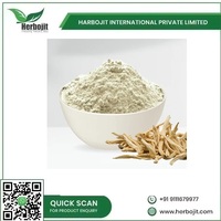 Extrait de Muesli SAFED en poudre, séché à l'air chaud, extrait d'herbes par Herbojit International, fabriqué en Inde, emballage en polybag