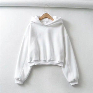 Nouveaux sweats à capuche d'hiver pour hommes 2025, coupe classique, vierges, unis, brodés, 100 % coton, personnalisables en gros, haute qualité - Product Image 4