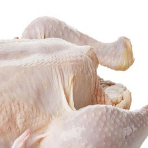 POLLO ENTERO CONGELADO ENTERO HALAL DE ALTA CALIDAD POLLO ENTERO CONGELADO HALAL POLLO ENTERO CONGELADO MEJOR TARIFA - Product Image 3