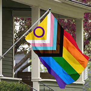 Lot de 2 drapeaux Pride 3x5 pieds, Nouveauté 2022, Drapeau LGBTQIA+ avec anneau violet, arc-en-ciel, intersexuel, inclusif, drapeau du progrès, résistant à la décoloration, USA TOP - Product Image 1