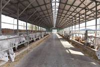 Vente directe d'usine, bâtiment préfabriqué pour volailles, structure en acier, grange à moutons, élevage, hangar pour bétail