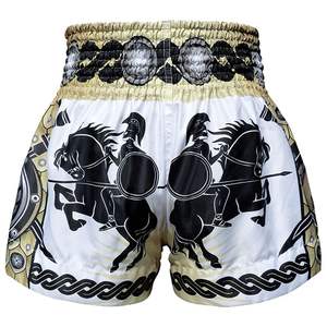 Professional Grade <b>MMA</b> & Muay Thai Fight <b>Shorts</b> Premium Fabric Modern Design Custom Branding & Private Label Manufacturing - Product Image 5