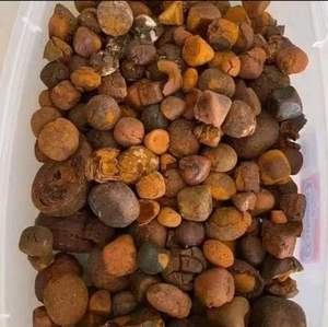 Cálculos biliares naturales de vaca y buey, suministro a granel, piedras de hierbas de alta calidad, venta al por mayor, precio de fábrica, superventas, Exportación de la mejor calidad - Product Image 5