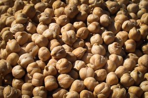 Garbanzos Kabuli Orgánicos Certificados Premium, Garbanzos Enteros de Alta Proteína, Grado Alimenticio, Blancos, para Venta al por Mayor y Exportación - Product Image 5