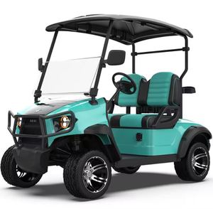 Carrito de Golf Eléctrico de 2 Plazas, Todoterreno, con Suspensión Alta, Vehículo Compacto para Pasajeros en Venta - Product Image 6
