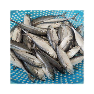 Maquereau, poisson faible en gras, riche en protéines, option saine pour les fruits de mer - Product Image 3