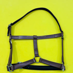Caballo ecuestre totalmente ajustable, aspecto de cuero Halter de PVC con relleno suave EVA y ajuste duradero, es posible personalizar - Product Image 4
