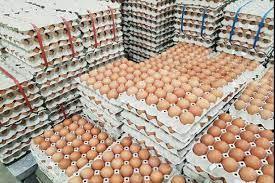 ไข่ไก่สดคุณภาพดีสีน้ำตาล บรรจุถาดแบบขายส่งสำหรับใช้ในอาหาร (ไข่จากสหราชอาณาจักร) VG Limited อายุการเก็บรักษา 24 เดือน - Product Image 3