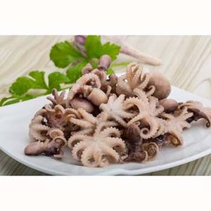 Pulpo Premium barato - Product Image 5
