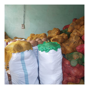 เปลือกมะพร้าวดิบจำนวนมาก-แข็งแรงสะอาดและทนทานสำหรับการทำชามที่เป็นมิตรกับสิ่งแวดล้อมถ่านงานฝีมือกลางแจ้งชิ้นงานตกแต่ง - Product Image 2