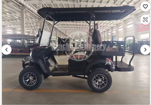 Kart électrique le plus vendu, chariot de golf avec batterie au plomb-acide - Product Image 2