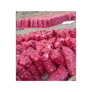 Hot Sale Red Corn Maize for Human & Animal Feed FOR SALE New Crop Sweet Natural Organic Red Maize Corn best price for Sale