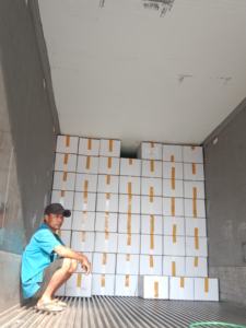 VENTA AL POR MAYOR HORTALIZAS CONGELADAS YUCA IQF EXPORTACIÓN-NUEVA COSECHA 2024 - Product Image 2