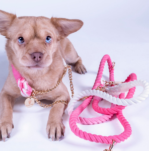 Cotton Rope Barking Pink <b>Dog</b> Leash & <b>Collar</b> Set Customized Colored Cotton Rope Handmade <b>Dog</b> Leash Pet Leash Set - Product Image 1