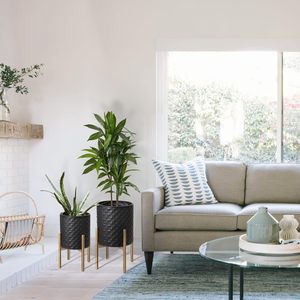 VENTA CALIENTE Macetas y jardineras de oro recién llegadas Maceta de jardín de moda Contenedores de plantas contemporáneos duraderos para decoración del hogar - Product Image 6