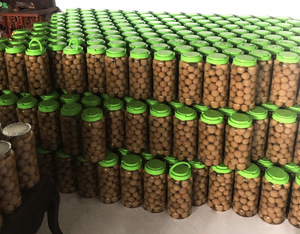 Limones en Salmuera de Alta Calidad de Vietnam, Fermentados Naturalmente, Sin Químicos, Sal 8-12%, 1kg/Frasco de Vidrio para Refrescos Saludables, a Granel - Product Image 4