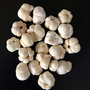 Mangoustan lyophilisé du Vietnam de haute qualité, saveur naturelle sucrée, prix de gros - Product Image 2