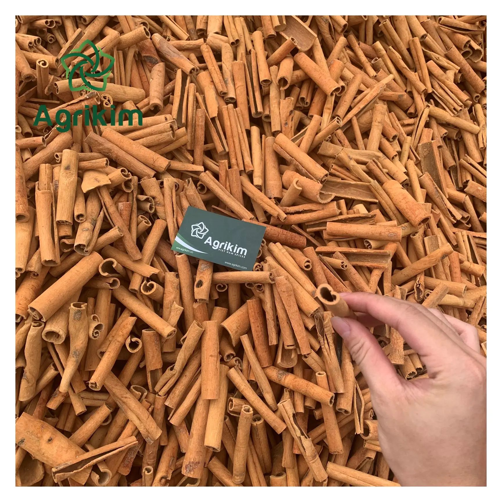 Giá cả phải chăng cassia quế Stick Fine Grade màu sắc tự nhiên giá rẻ nhất trong thị trường với đầy đủ xác nhận + 84 326055616