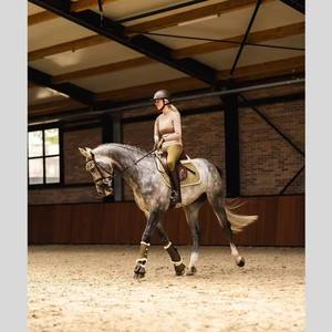 Almohadillas para Sillas de Montar Ecuestres Más Vendidas, Material de Neopreno y Forro Polar, Protección Duradera, Hechas en Pakistán, Precio Bajo - Product Image 4