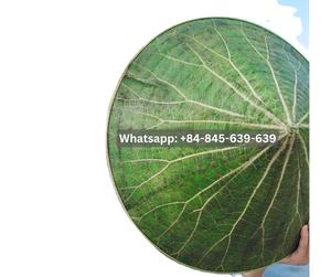 Chapeau polyvalent et réglable qui offre un ajustement confortable pour toutes les tailles de tête du fournisseur du Vietnam - Product Image 2