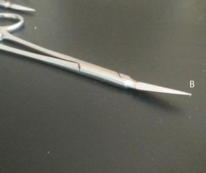 Fragment de racine dentaire médical pince d'extraction dentaire minimalement invasive instrument dentaire dents maxillaires et mandibulaires incurvées - Product Image 5