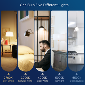 Premium Kwaliteit 100Watt Equivalent 15W 1500lm 5cct 2700K 3000K 4000K 5000K 6500K Dimbaar E26 5cct <span class=keywords><strong>Led</strong></span> Gloeilampen Voor Thuis - Product Image 4