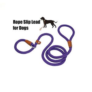 Tali Slip kepang latihan anjing tanpa tarik, tali timbal tugas berat ramah lingkungan sederhana poliester padat unik - Product Image 2