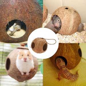 Opknoping Kokosnoot Vogel Huis Voor Een Hamster Vogelkooi Speelgoed Huisdier Vogel Levert Handgemaakte Uit Vietnam