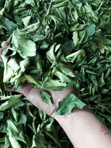Heetverkopende limoenbladeren, bulk export ingrediënt uit Vietnamese fabriek, ondersteunt grootschalige voedselverwerking & internationale handel - Product Image 2