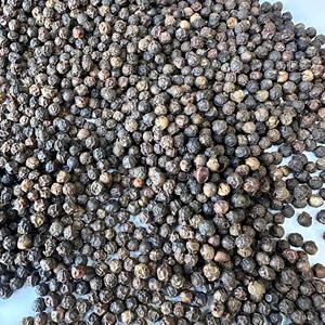 Prix d'usine Vietnam Poivre noir en grains épais de 5 mm, très épicé, en vrac, épices individuelles, herbe séchée brute exportée ANNA DO VILACONIC - Product Image 2