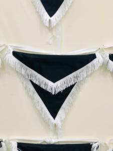 Tablier maçonnique Regalia - Product Image 2