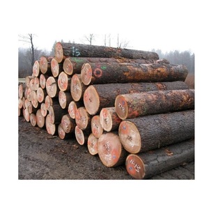 Industrial Grade <b>Oak</b> Wood Logs - Large Quantity Available - Product Image 1