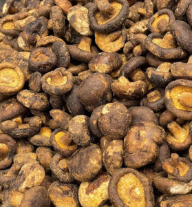 Champignon Shiitake naturel séché au soleil, ingrédient culinaire entier et tranché pour l'amélioration de la saveur fabriqué au Vietnam - Product Image 1