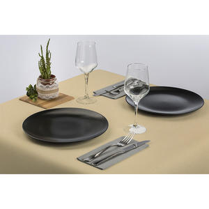 Eco Nature Tovaglioli Monouso 120x120cm Morbidi e Asciutti 100pz B2B - Product Image 1