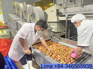 [OFERTA ESPECIAL] Lichi Congelado Dulce IQF en Forma de Bola Blanca, 18 Meses de Vida Útil, a Granel, Origen Vietnam, Calidad de Exportación para Alimentos - Product Image 2