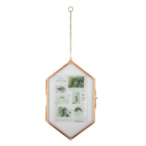 Hanging wall decorative Hexagonal <b>glass</b> <b>photo</b> <b>frame</b> Herbarium specimen metal <b>photo</b> <b>frame</b> for Wedding <b>Photos</b> Decoration - Product Image 1