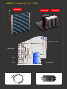 WS serisi programlanabilir nem İnkübatörü iklim çimlenme odası nem kontrol odası - Product Image 6