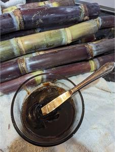 Suministro a Granel de Melaza de Caña de Azúcar para la Industria de Fermentación de Alimentos Agrícolas, Vietnam - Product Image 5