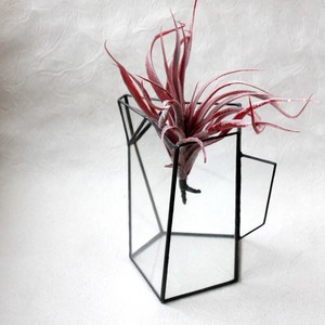 Jardinière géométrique moderne en verre avec cadre en métal noir idéal pour l'affichage de succulentes à l'intérieur, le bureau à domicile ou la décoration de cadeaux - Product Image 6