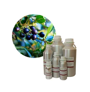 Pure Laurel Berry Oil Exporter of Laurel Berry Oil Bulk Laurel Berry Oil at wholesale price