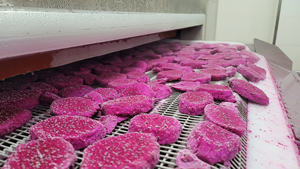 100% Tranches de fruits du dragon lyophilisés biologiques naturels Cube de fruits du dragon séchés congelés Dragonfruit lyophilisé - Product Image 2