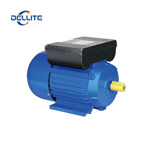 Dellite Single phase động cơ cả<span class=keywords><strong>m</strong></span> ứng tiết kiệ<span class=keywords><strong>m</strong></span> năng lượng 220V 0.75HP tụ bắt đầu AC cho ghép hình hiệu quả cao tùy chỉnh - Product Image 5