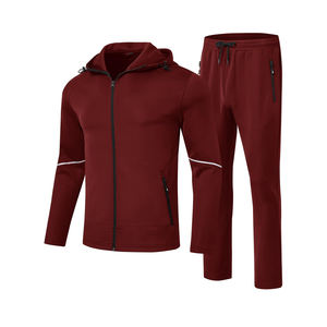 Logo personnalisé Vente en gros Survêtement en polaire Hommes Jogger Survêtement Grande Taille Automne Survêtement à fermeture éclair - Product Image 4