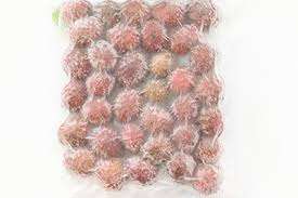 Fournisseur vietnamien de qualité supérieure Ramboutan congelé IQF, délicieux fruits tropicaux sucrés pour acheteurs internationaux - Product Image 4