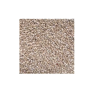 ข้าวฟ่างขายส่งขนาดใหญ่พร้อมสำหรับการกระจายและการค้า - Product Image 6