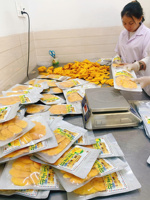 Premium Gedroogde Mango Uit Vietnam Groothandels Fabrieken Gedroogde Plak Fruit, Walnoot Geëxporteerd In Bulk Naar De Canadese Markt