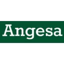 ANGESA INGENIERIA INDUSTRIAL MECANICA S.L. logo