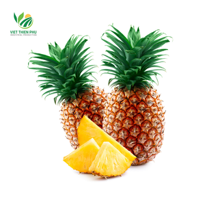 Piña congelada IQF orgánica certificada ISO de Vietnam, conservada en agua envasada a granel - Product Image 6